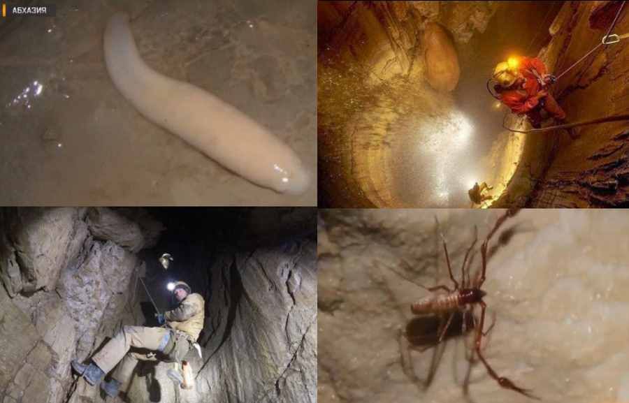 Species unknown to science have been found in the world’s deepest cave
