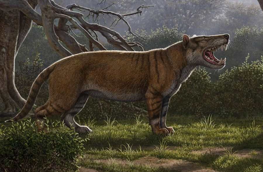 The remains of a carnivorous mammal larger than a polar bear discovered in a… museum